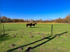 Hauptbild Ein Rückzugsort im Grünen: Hofstelle in Alleinlage, perfekt für Pferdehaltung